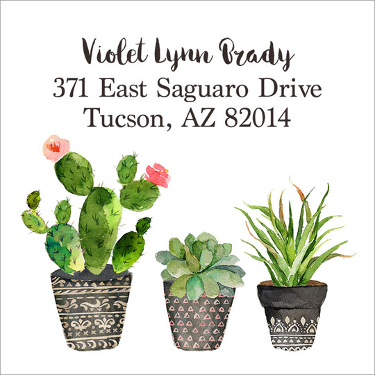 Southwest Potted Garden Square Address Labels